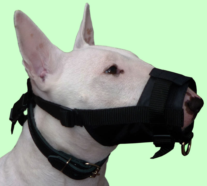 Adjustable Nylon Dog Grooming Muzzle No Bite Small 5.5"-7.5" size