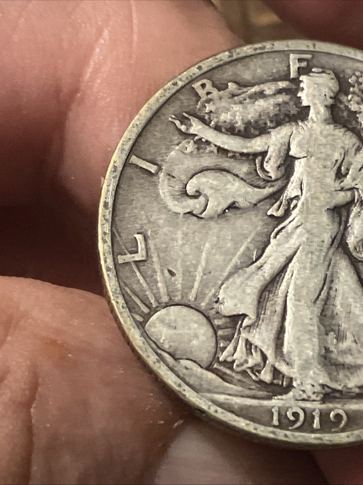 1919 walking liberty half dollar