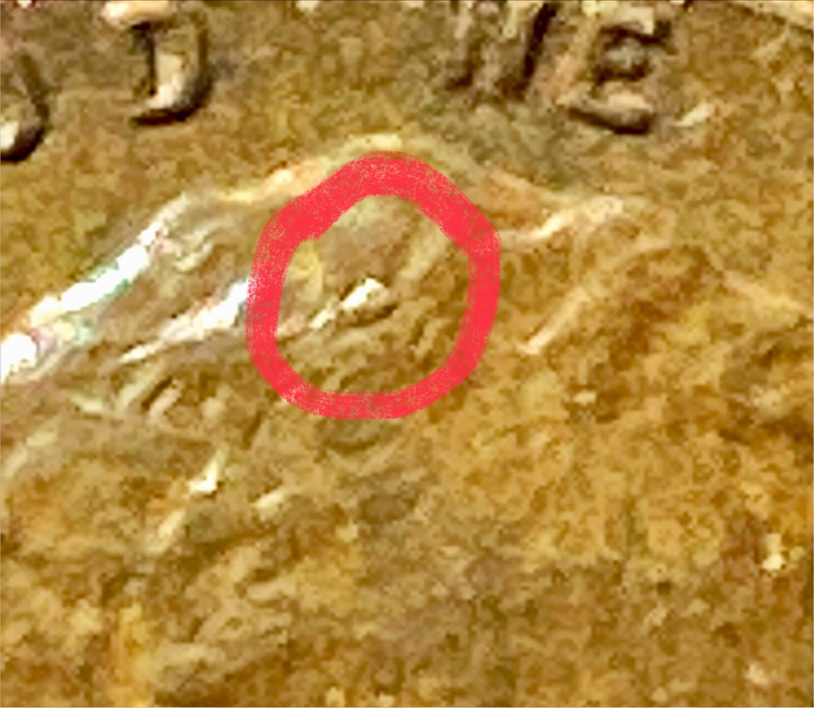 1961 D & 1960 D LINCOLN CENT LAMINATION OBVERSE
