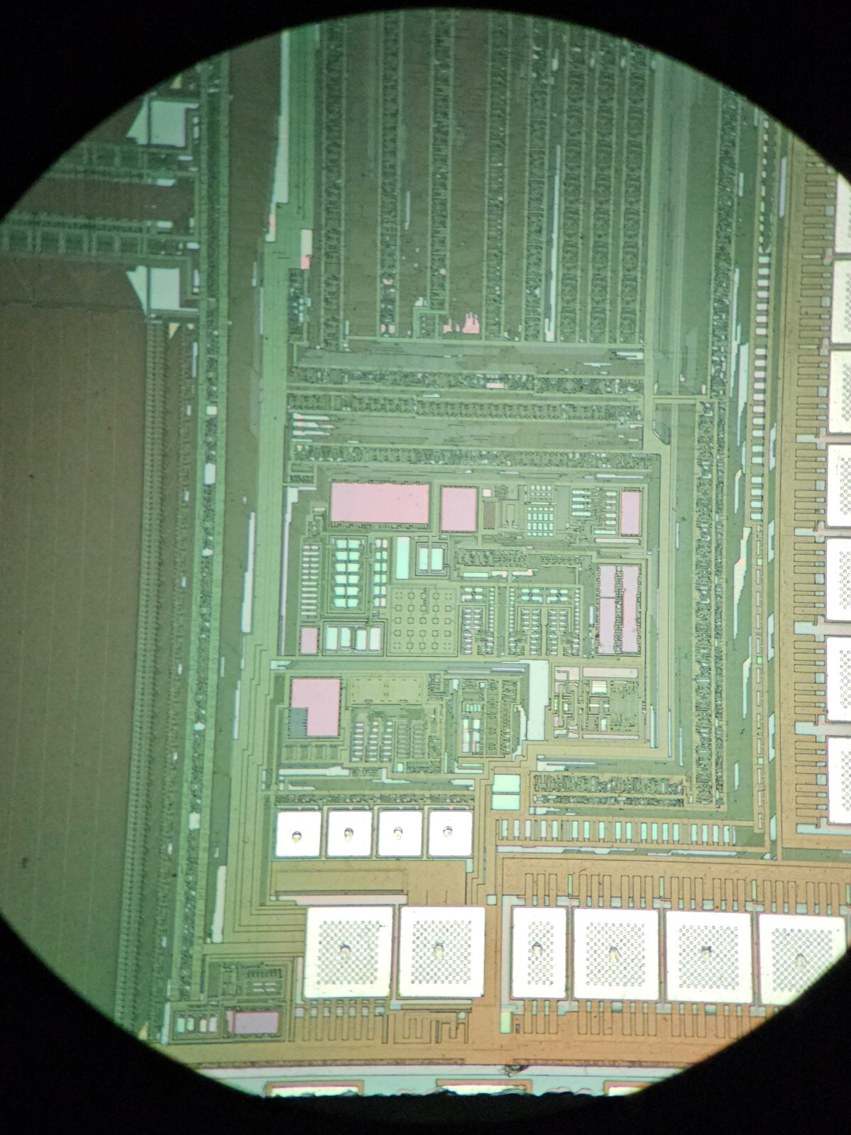 microscope slides