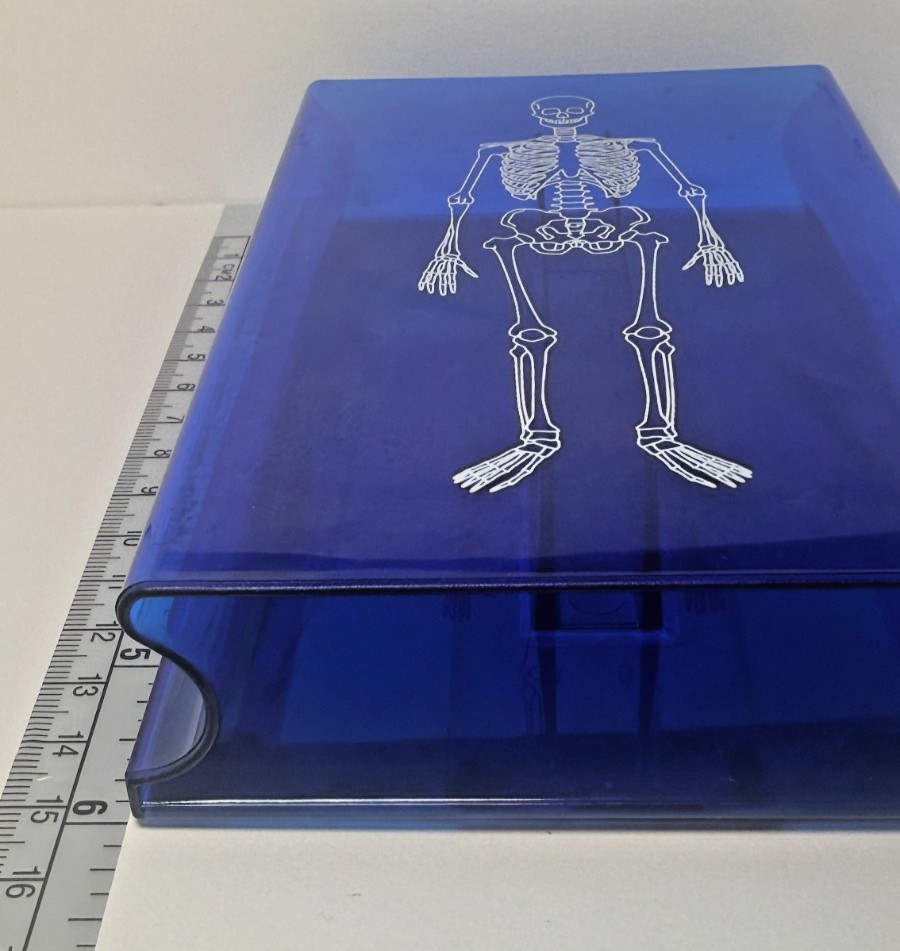 Learning Resources Skeleton Stamp Science Anatomy Classroom Homeschool
