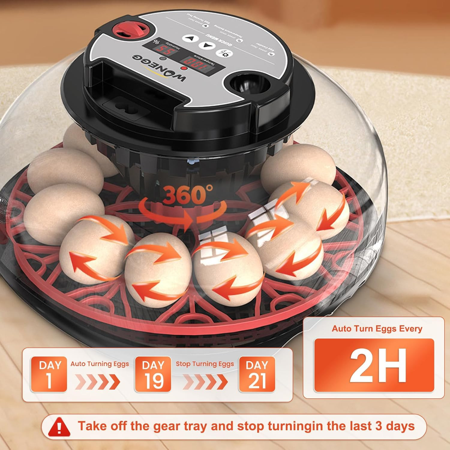 Automatic 12 Egg Incubator with LED Candler & Temp Control for Beginners