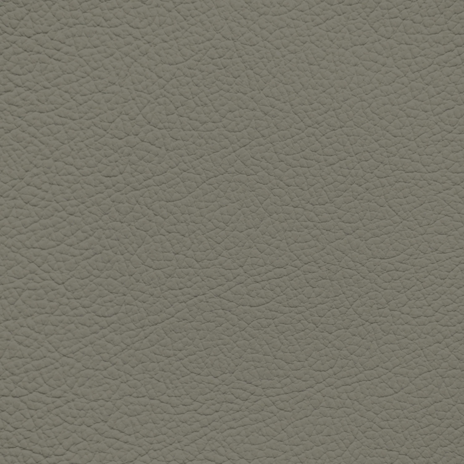 Infiniti Light Olive Leather Dye