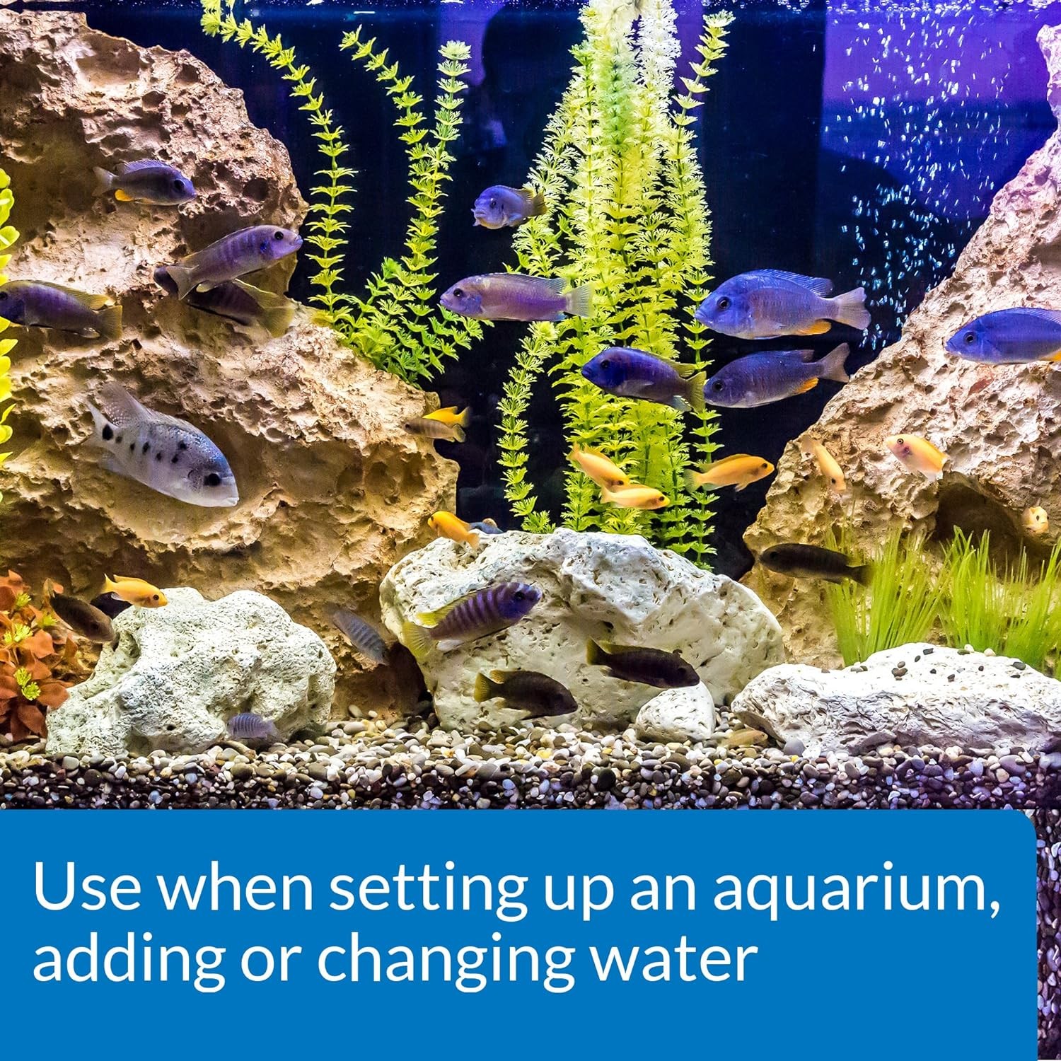 API Tap Water Conditioner Aquarium 16-Ounce Bottle