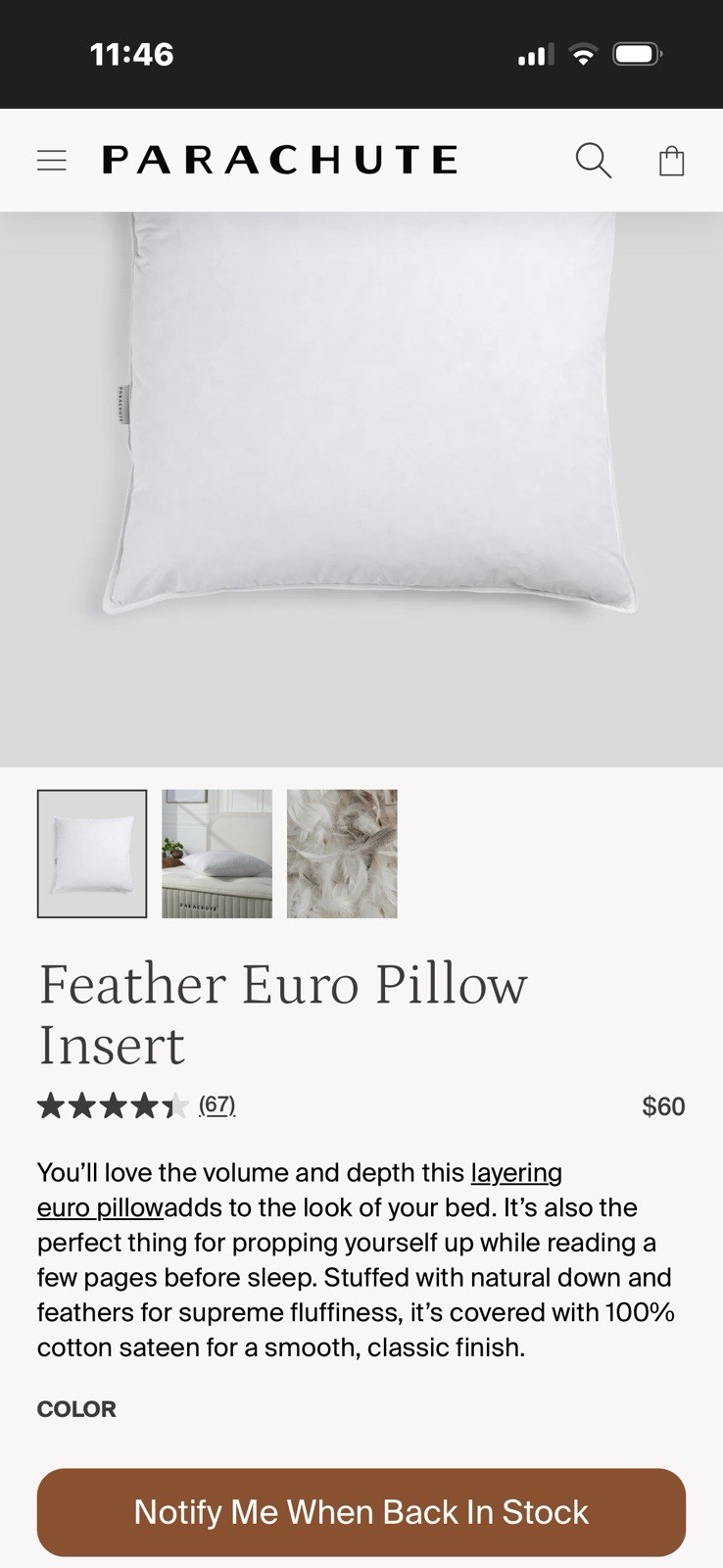 1- (Singular)PARACHUTE 100% Natural Down Feather Euro Pillow Insert 20x20 New!