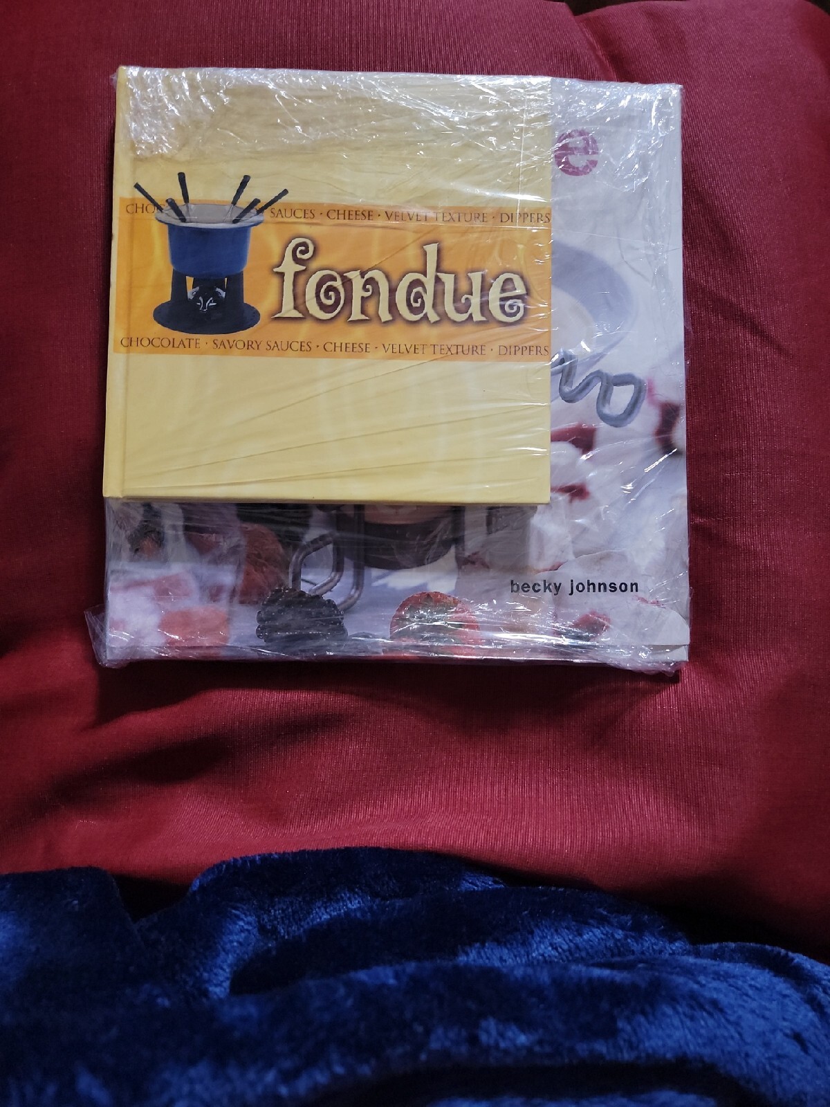 Fantastic Fondue:For Entertaining and Special Occasions by Becky Johnson 3 books