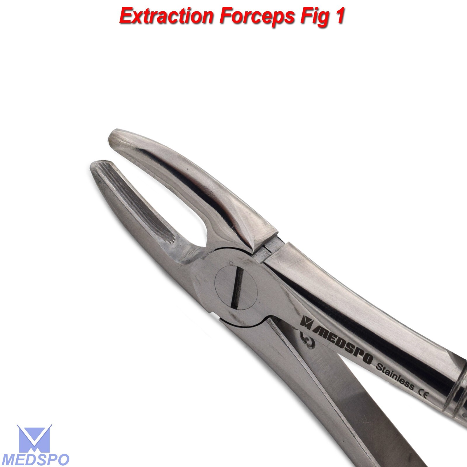 Dental Extraction Forceps # 1 Upper Central & Canines Root Extracting Instrument