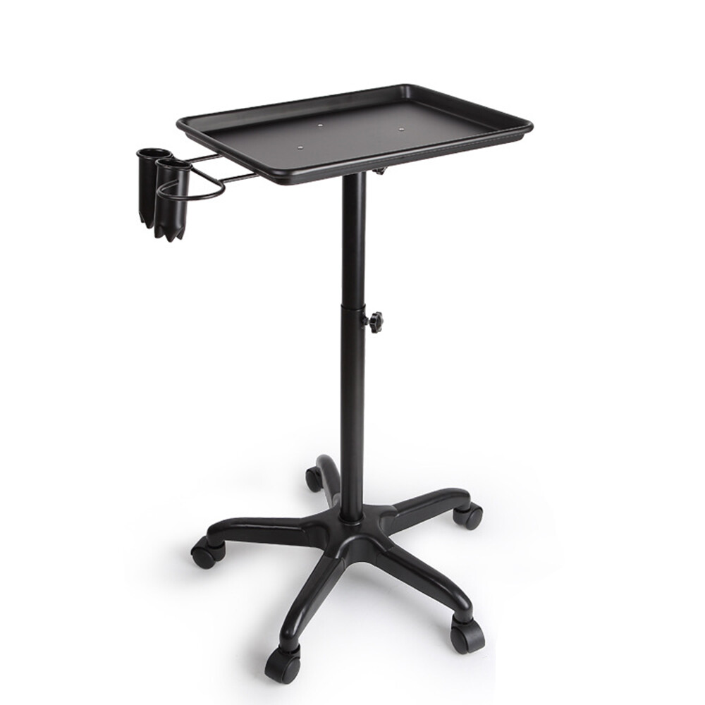 Hairdressing Cart Salon Trolley Beauty Barber Hair Color Permanent Tray Tool NEW