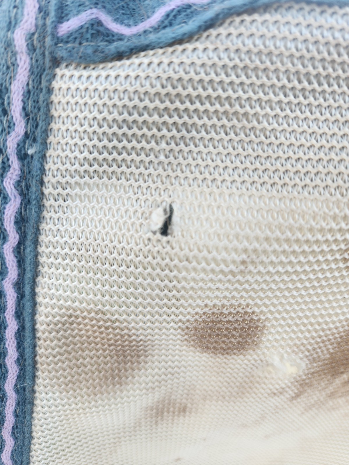 Saxon Soft Mesh Standard Neck Fly Sheet with Belly Guard Size 78"