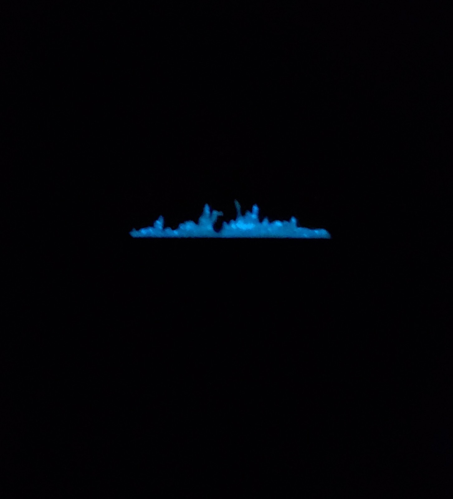 Dumpster Fire PVC Morale Patch
