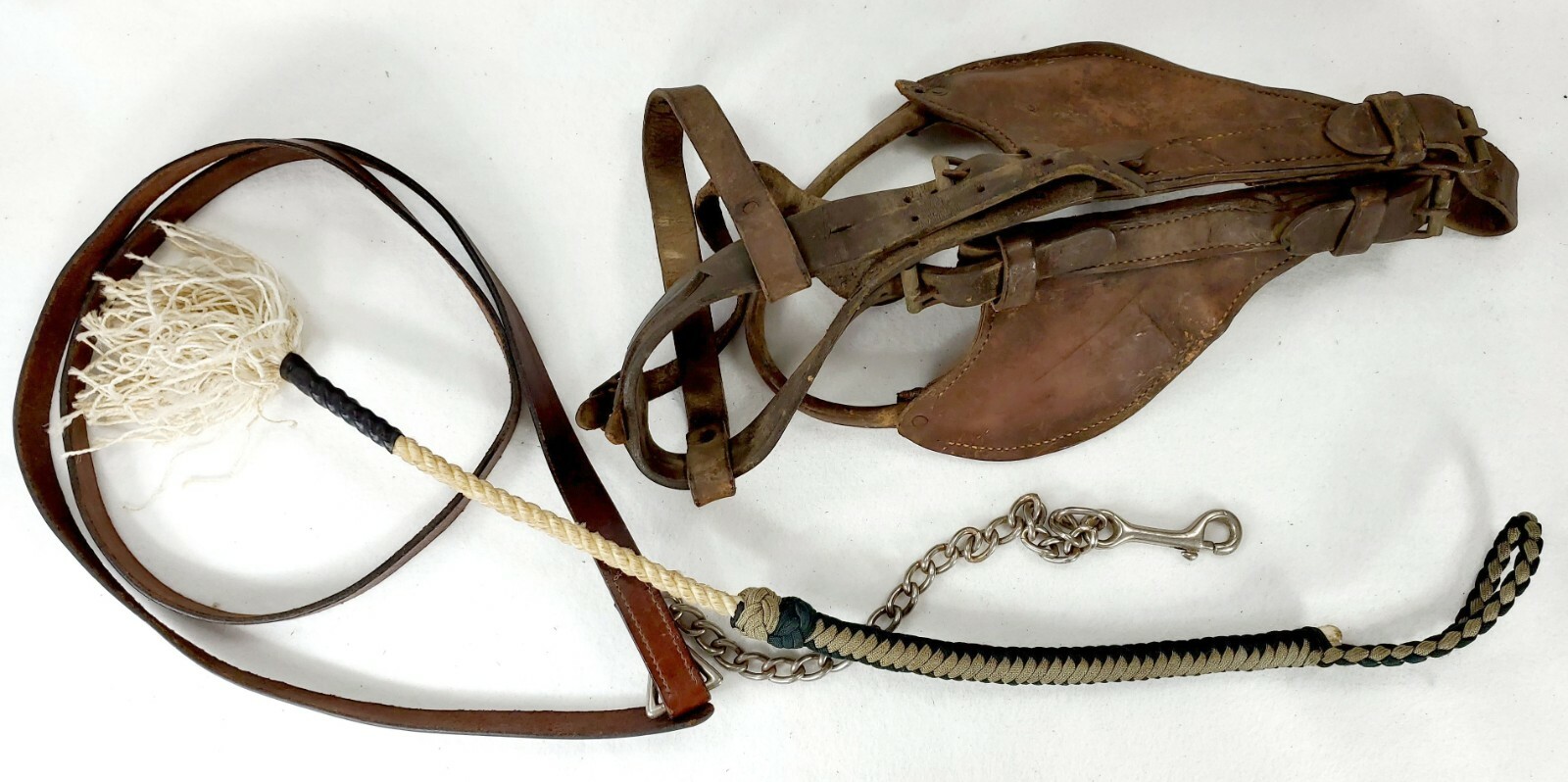 3 Pieces Equestrian Horse Riding Tack - Lead - Crop - Driving Bridle - Blinkers