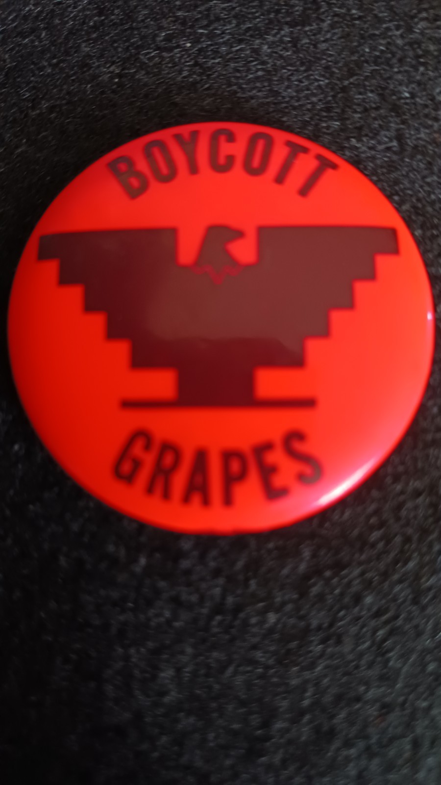 Boycott Grapes Pinback