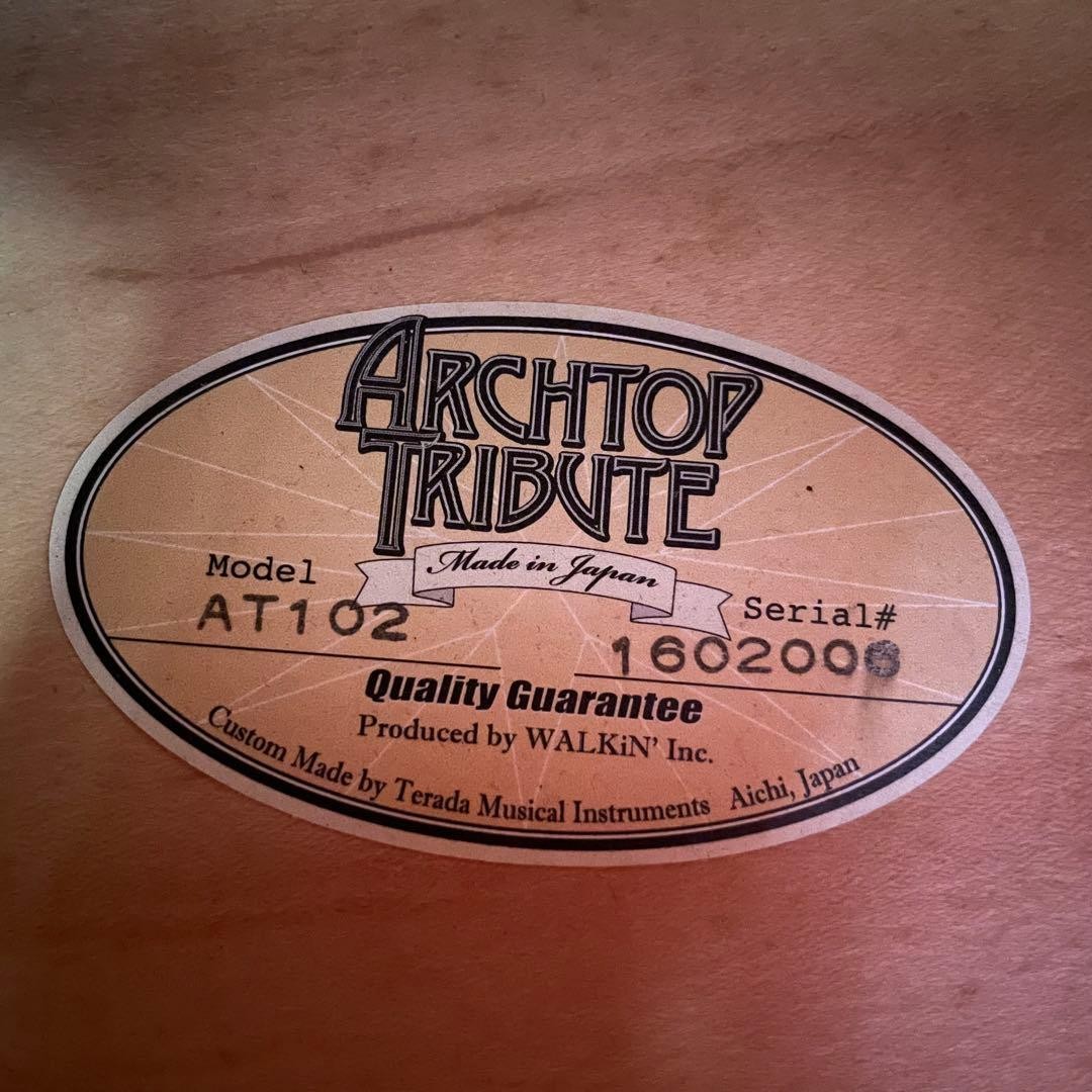 Terada Es175Archtoptribute At-102 Full Aco