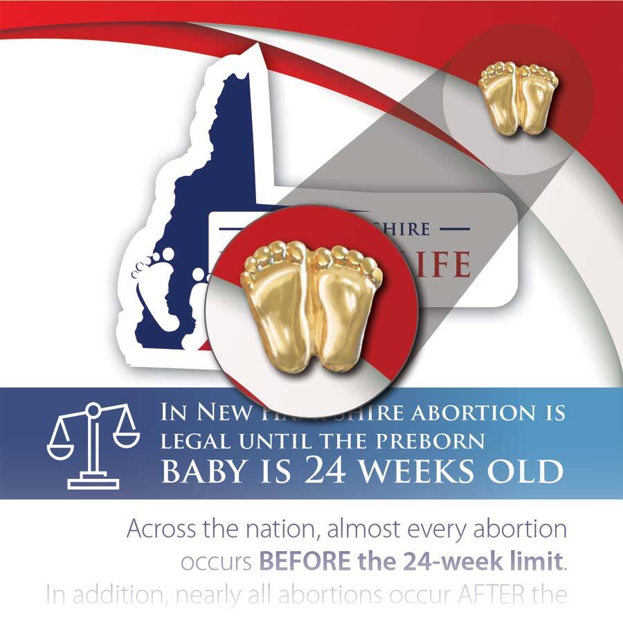 Precious Feet, Gold-Colored, New Hampshire Stats Card Jewelry, Lapel Pin