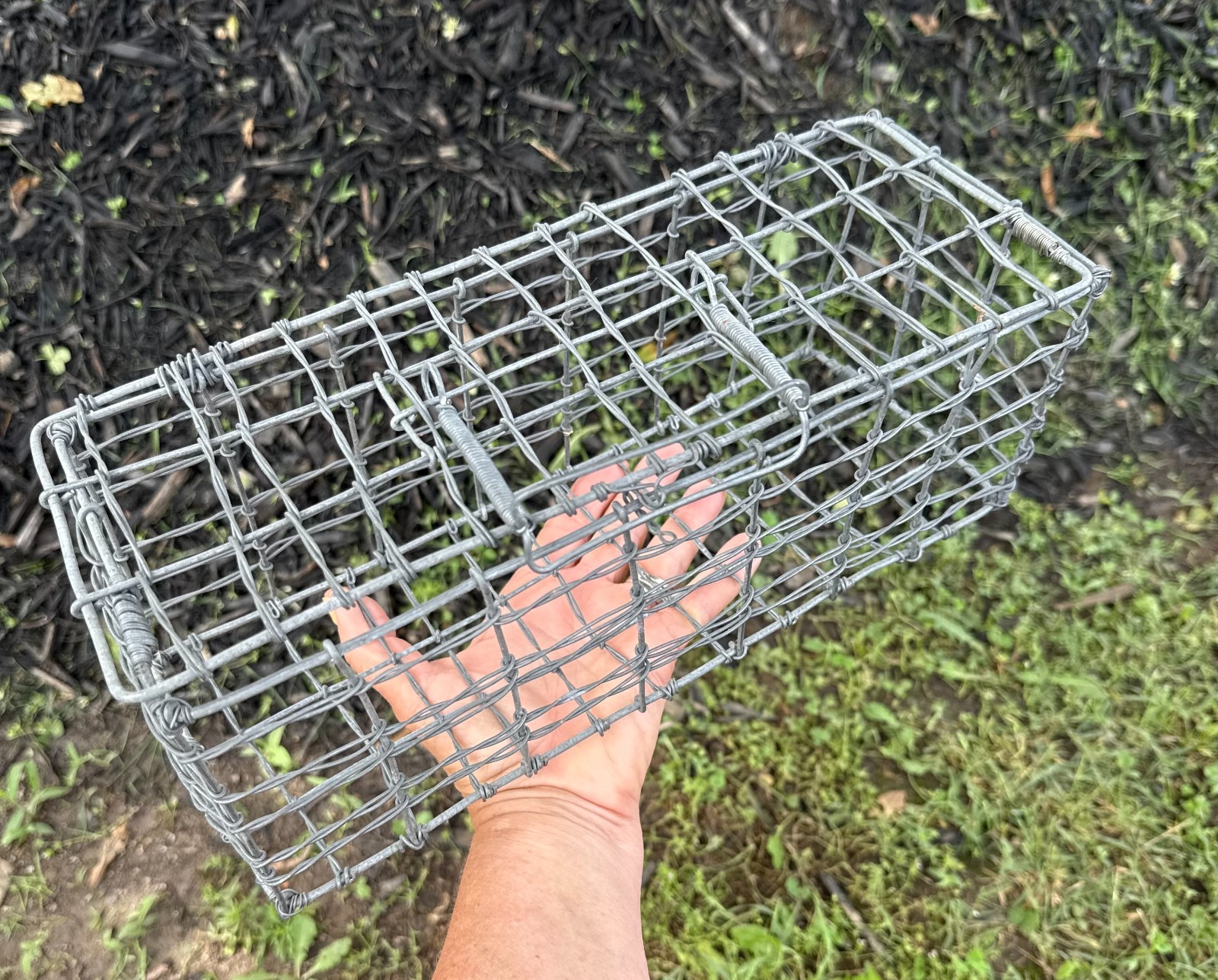 small rectangular wire baskerbasket with attached lid and clasp graden or home