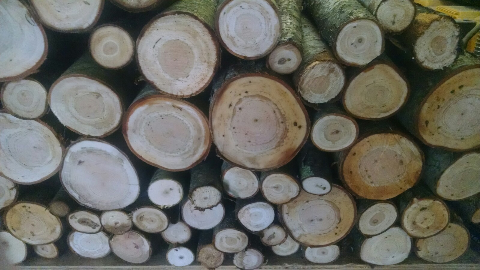 Cherry Wood Logs 12"long BBQ/Grilling/Wood Smoking! Arts/Crafts13lbs-16lbs