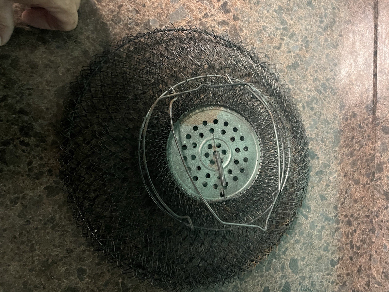 Inox Made In France Fish Basket. Decoration Only Small Hole On Bottom