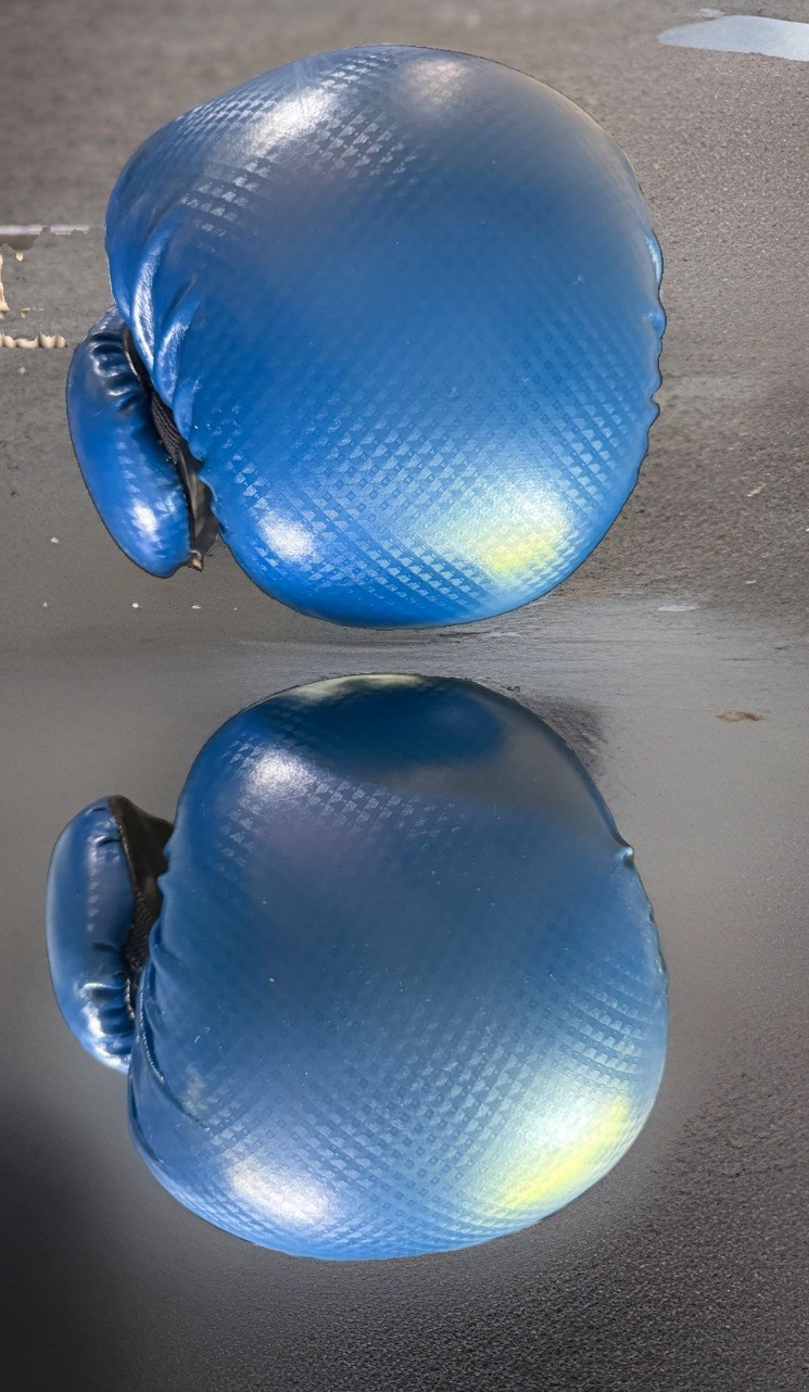 Title Boxing Hook & Loop Genuine Boxing Gloves Blue White 12 Oz Classic