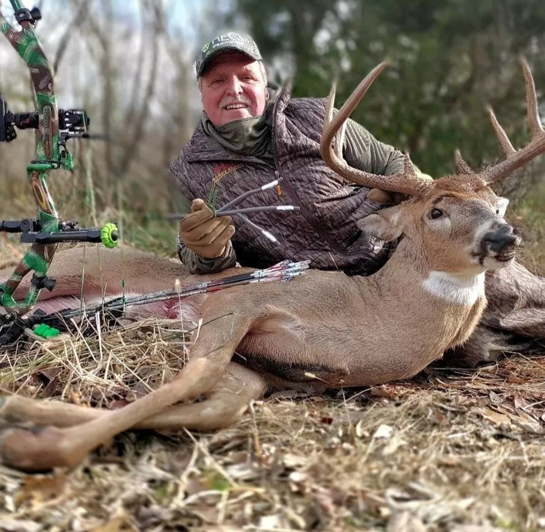 The Ultimate Licking Branch