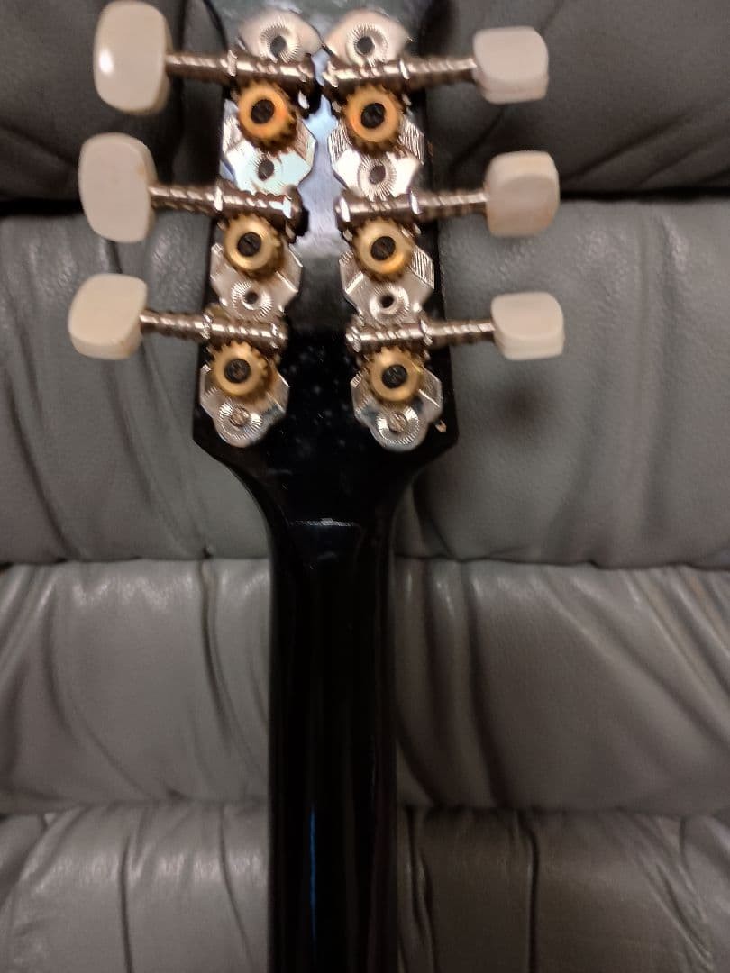 Beautiful item Rare item Flower pattern Mandolin with case