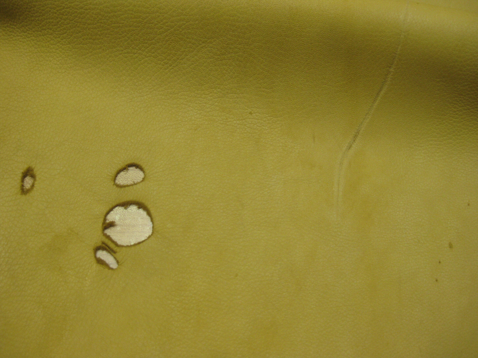 Top Grain Deer Leather #0010063 Row AA