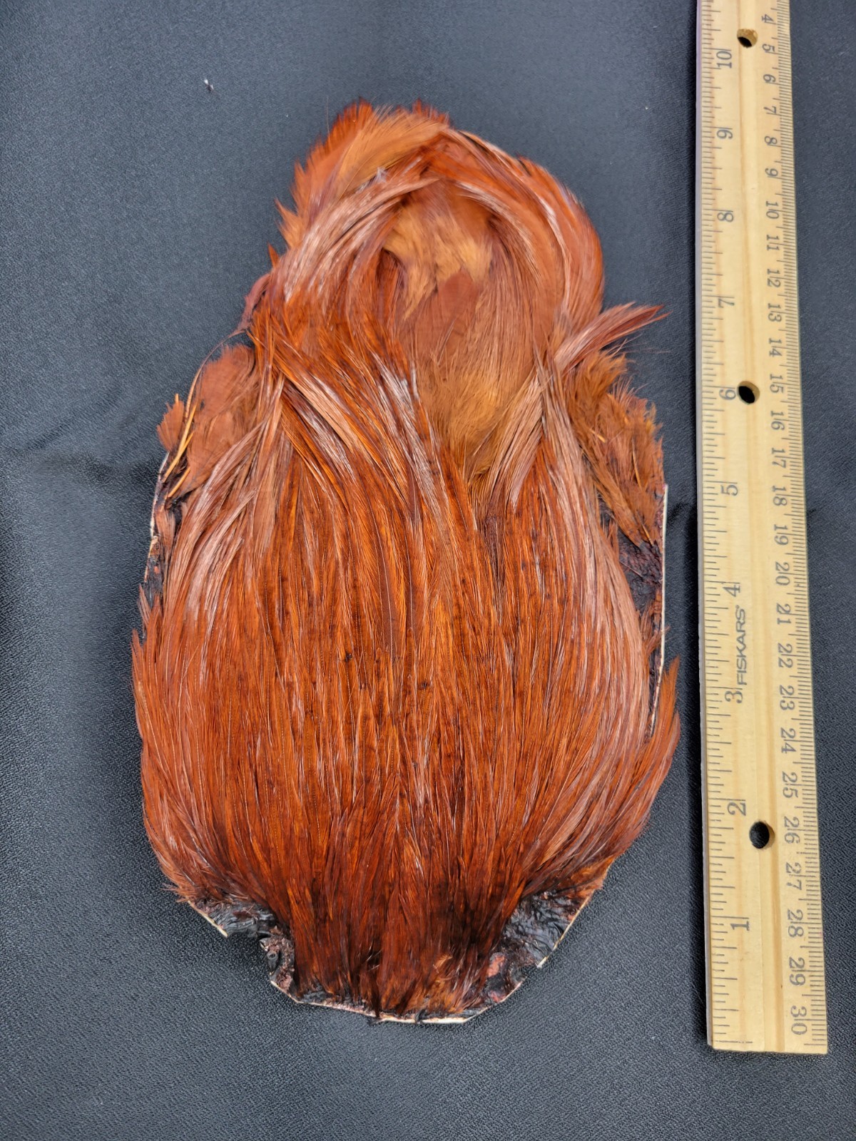 Lot 39,  Top Quality  COACHMAN BROWN India Rooster Streamer Neck Cape Feathers