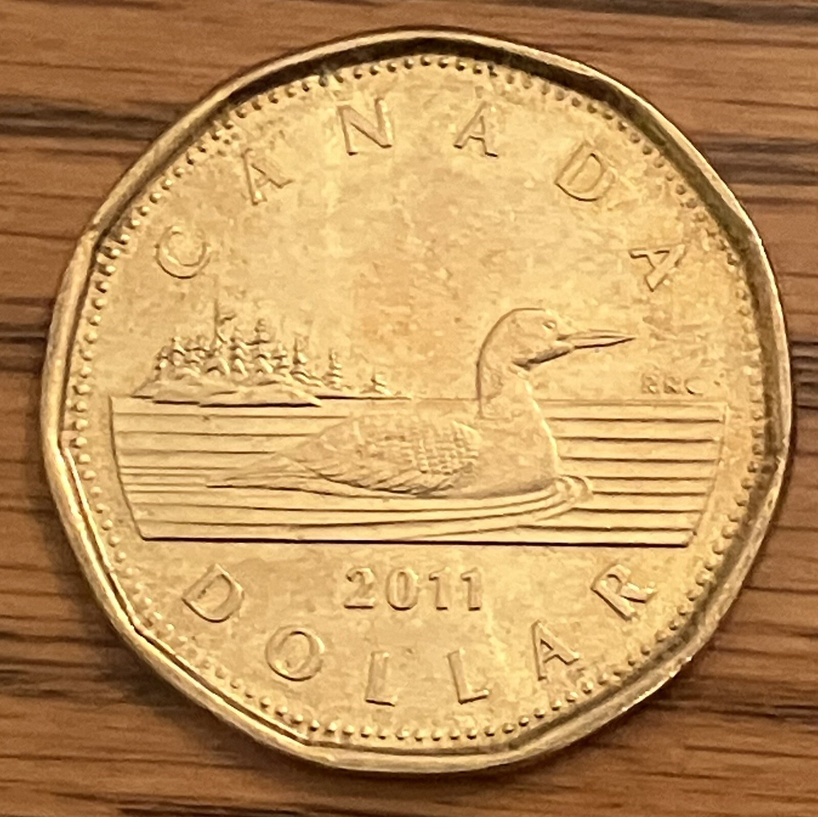 2011 Canada $1 one dollar loonie coin **75% off combined shipping**