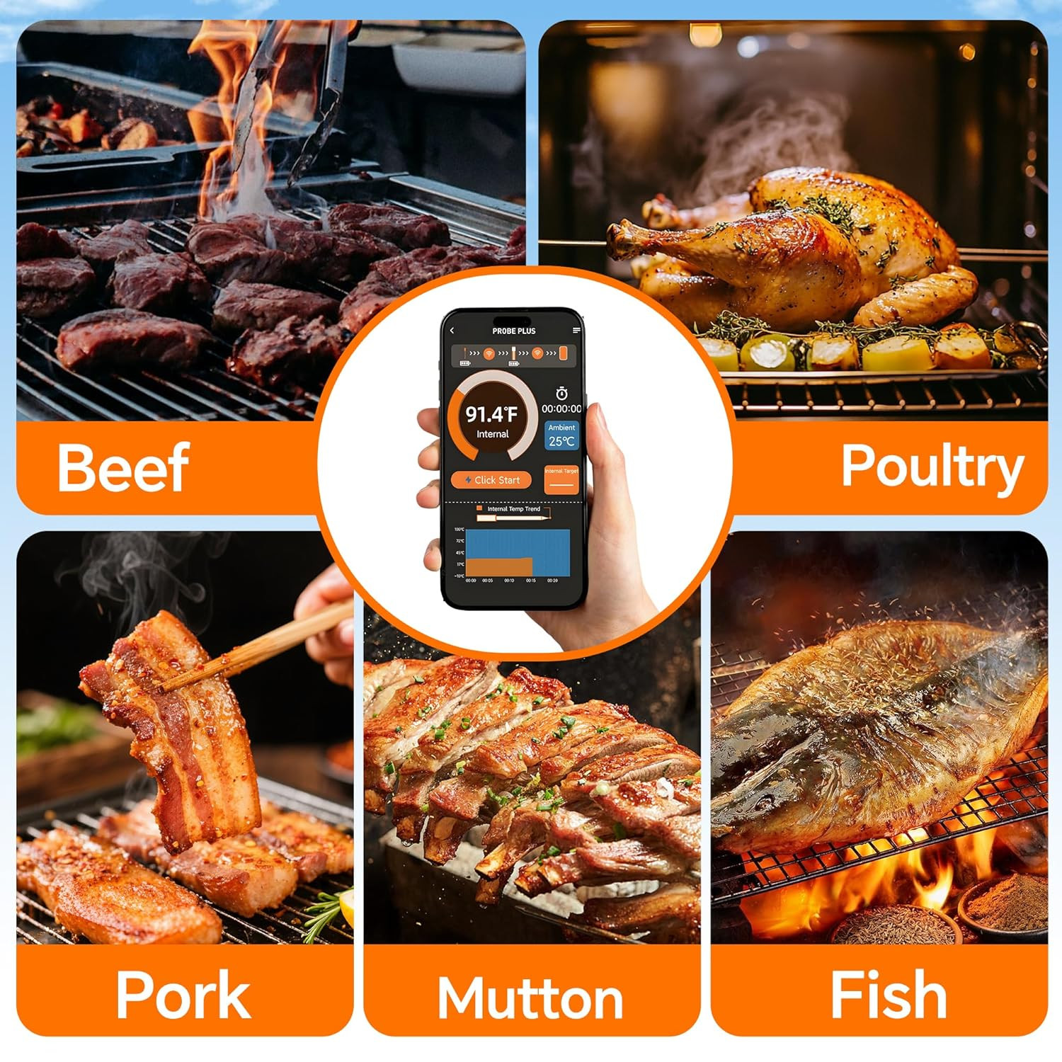 Wireless Meat Thermometer Digital with Bluetooth App Control, Rechargeable Grill
