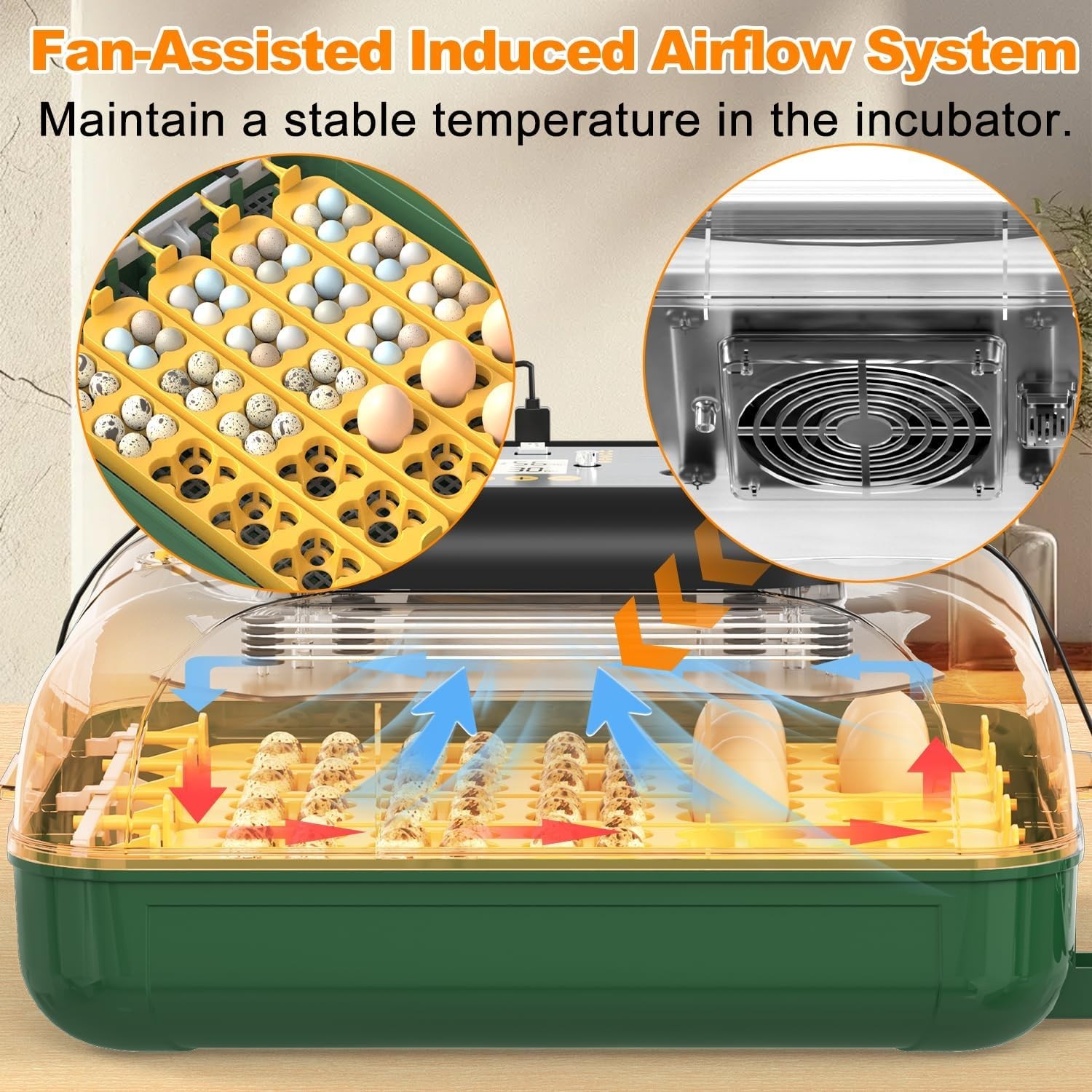30 Egg Incubator with Humidity Display, Egg Candler, Automatic Egg Turner, for H