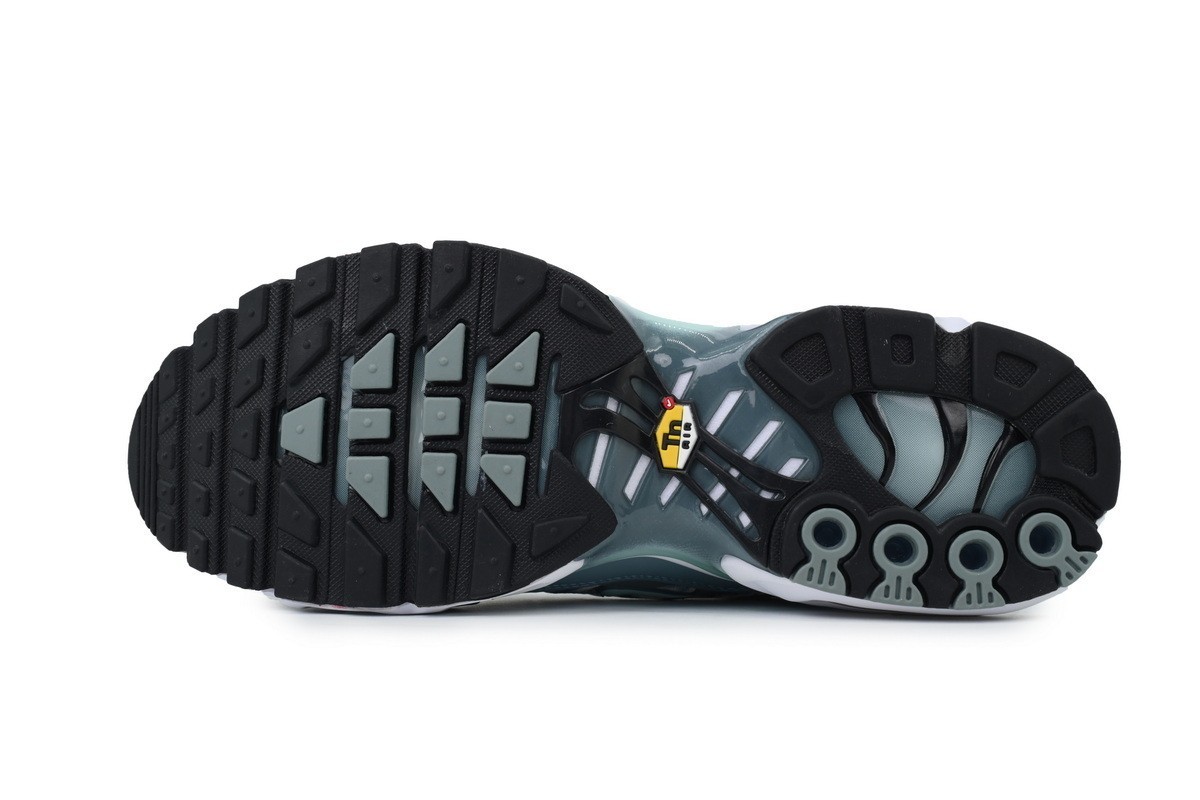 Nike Air Max Plus 'Palm Pack - Waterway' Men's FV0394-300
