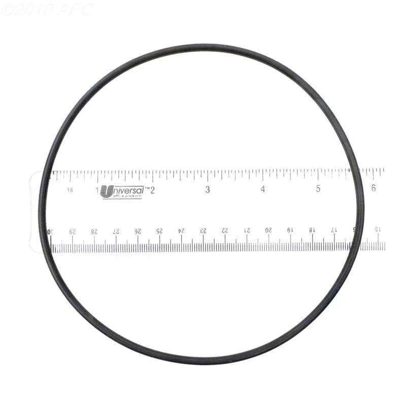 O-Ring, Trap Lid
