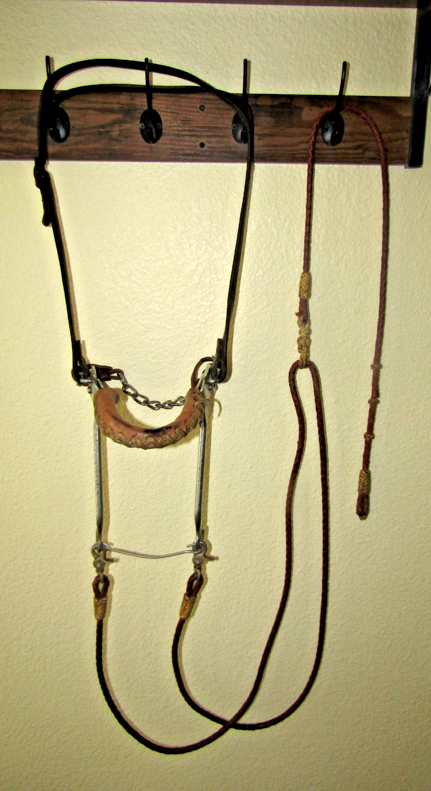 Vintage Horse Bridle Braided Romel Reins Brown Rawhide