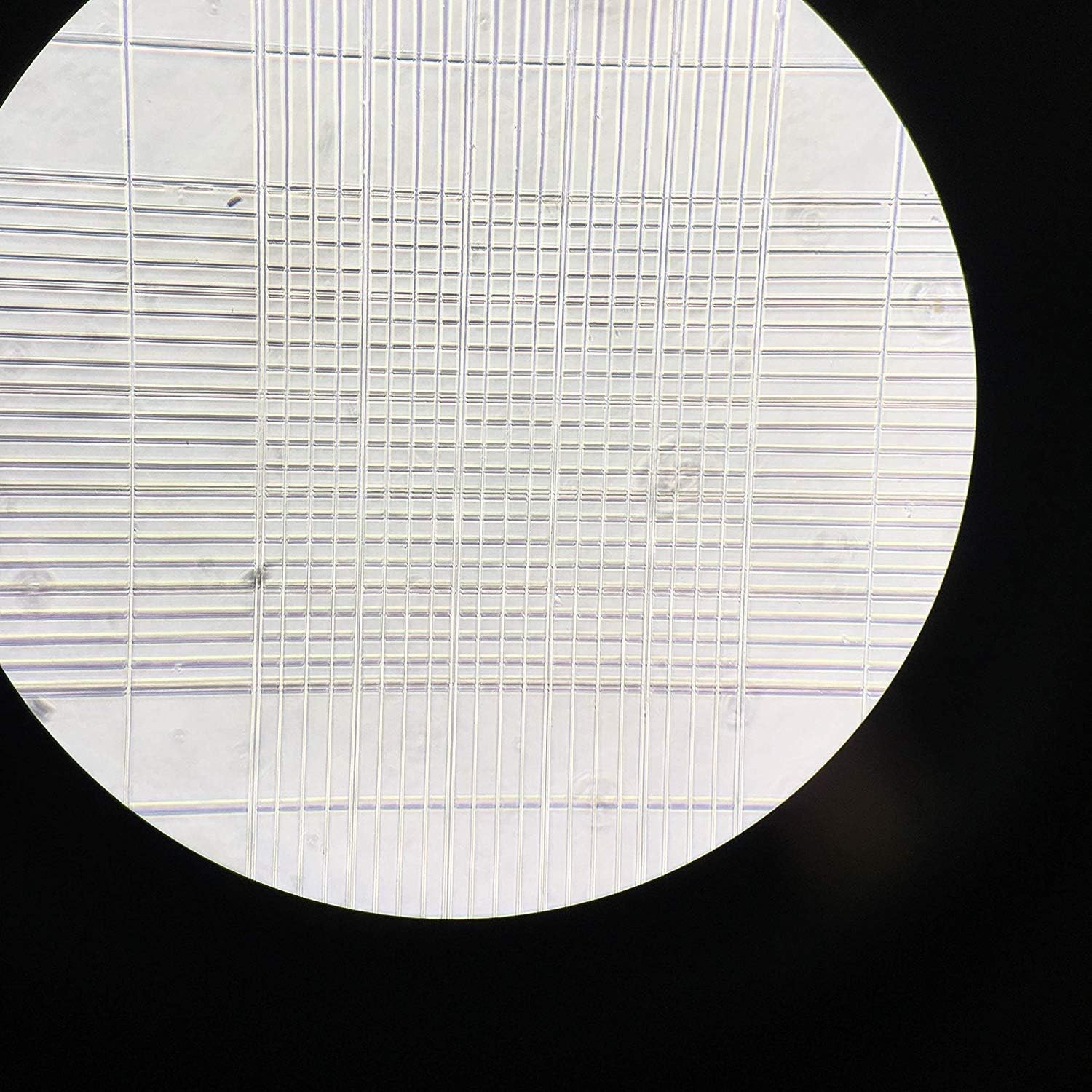Hemocytometer Blood Counting Chamber with Cover Slips