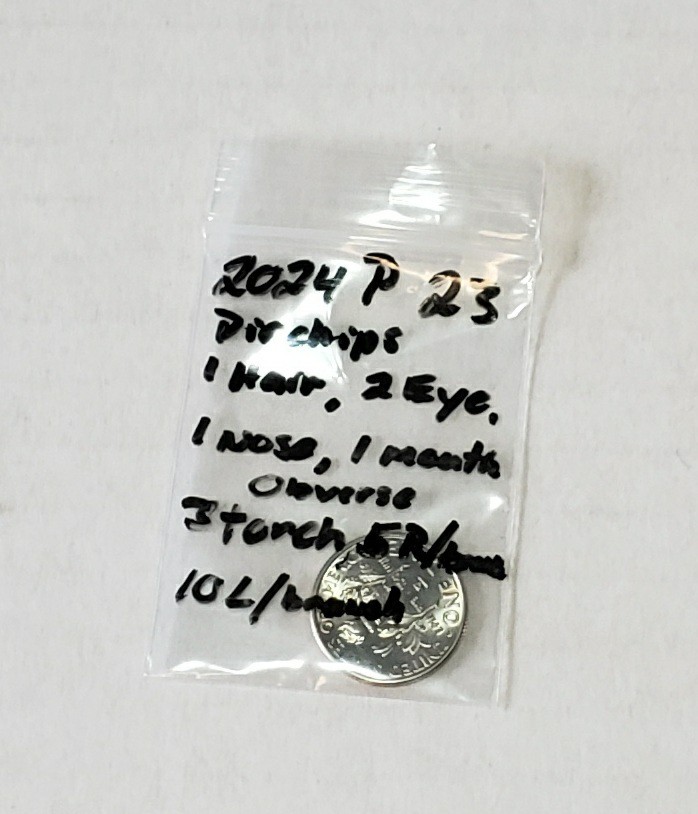 2024 P Dime w/23 Die Chips Errors 5 Obverse Die Chips & 18 Reverse Die Chips