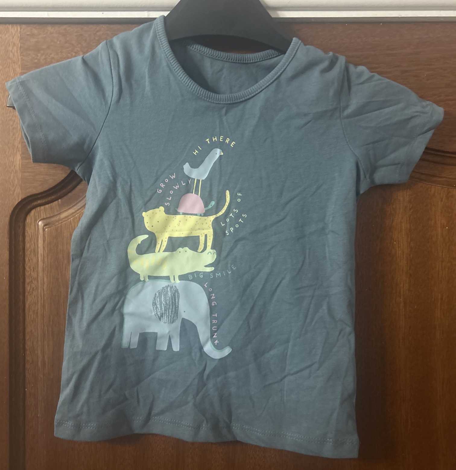 BNWOT Girls Blue Animal T Shirt 18-24 Months
