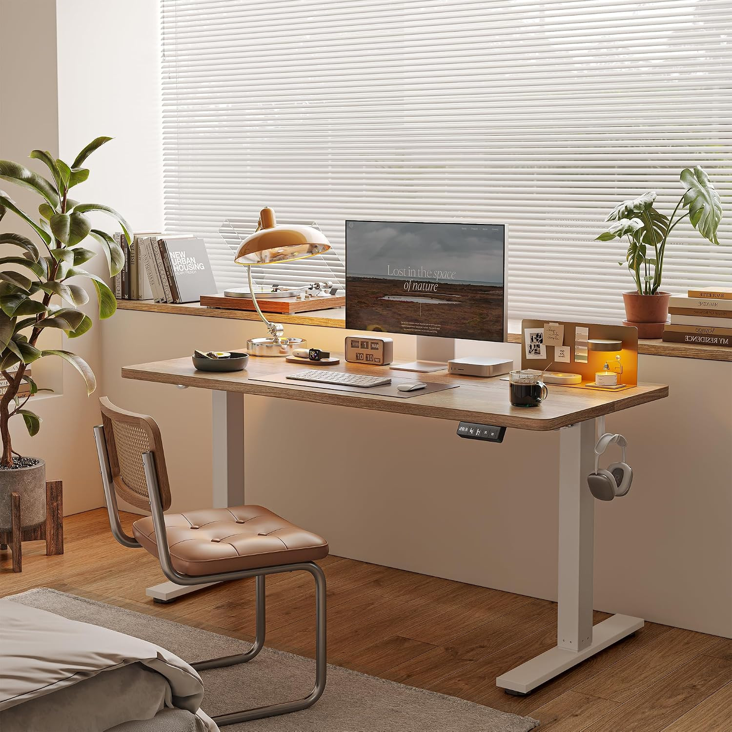 48 X 24 Inch Height Adjustable Electric Standing Desk, Maple | Smooth Height Adj