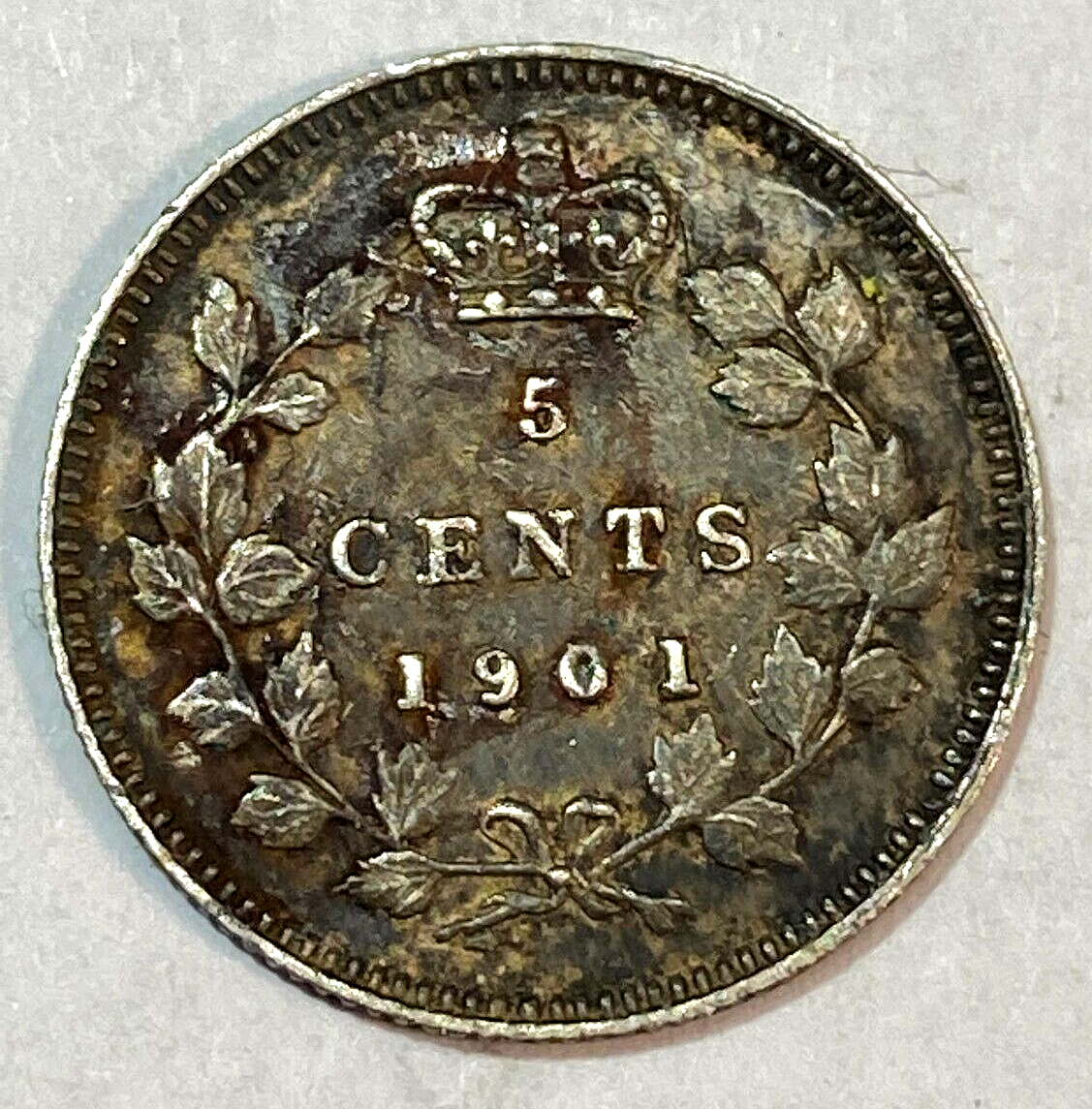 1901 Canada 5 Cents Nice Original AU CHN