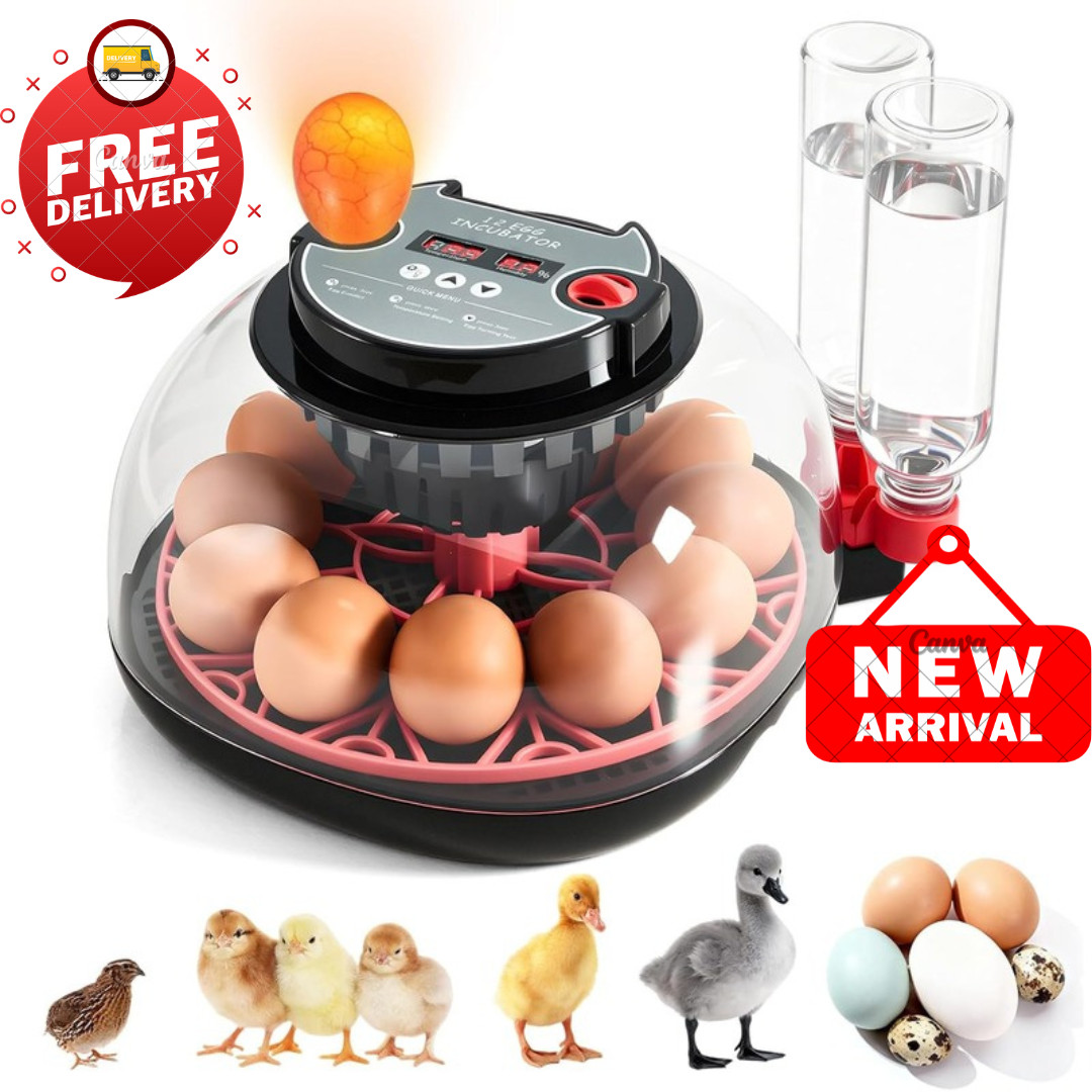 Incubators for Hatching Eggs - 12 Egg Capacity, Egg Incubator with Automatic