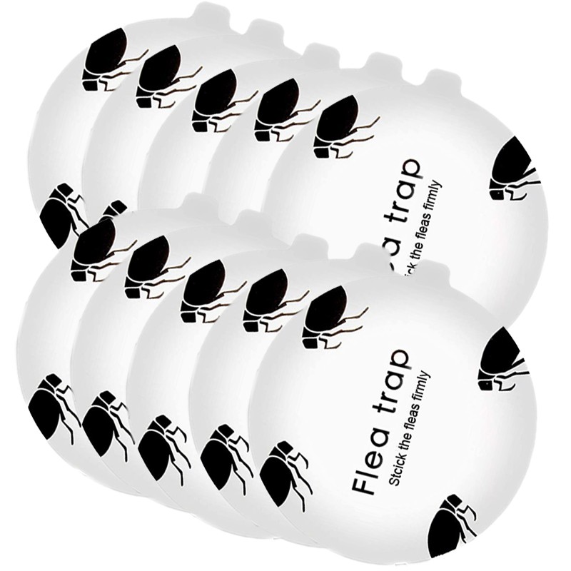 Disposable Sticker Trapper Glue Board Refills Flea Light Trap Replacement Cards