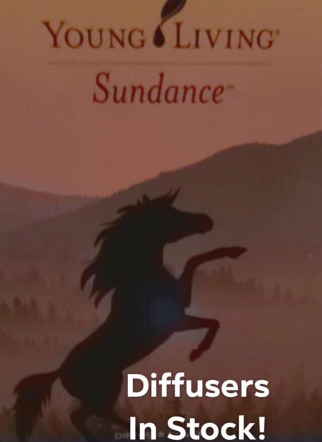 Replica-Sundance Replica Gary Youngs Horse. Aromatherapy, Diffuser, YoungLiving