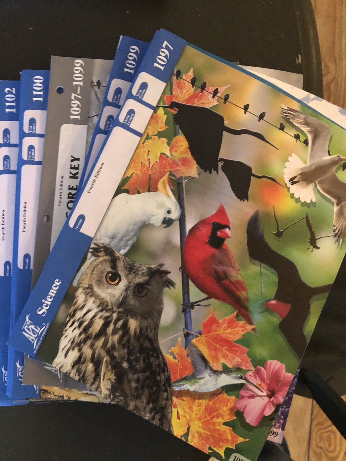 homeschool curriculum