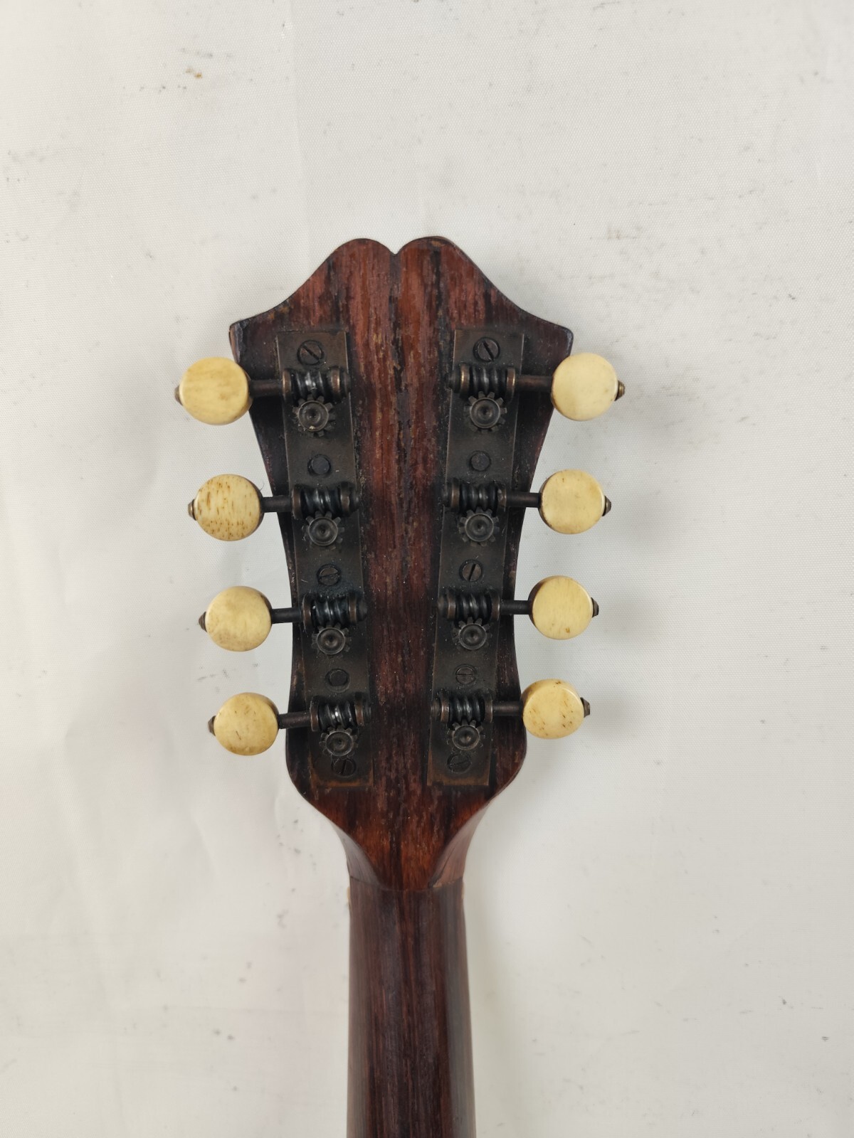Mandolin 4/4 Strident 1930 Naples 曼陀林 만돌린マンドリン