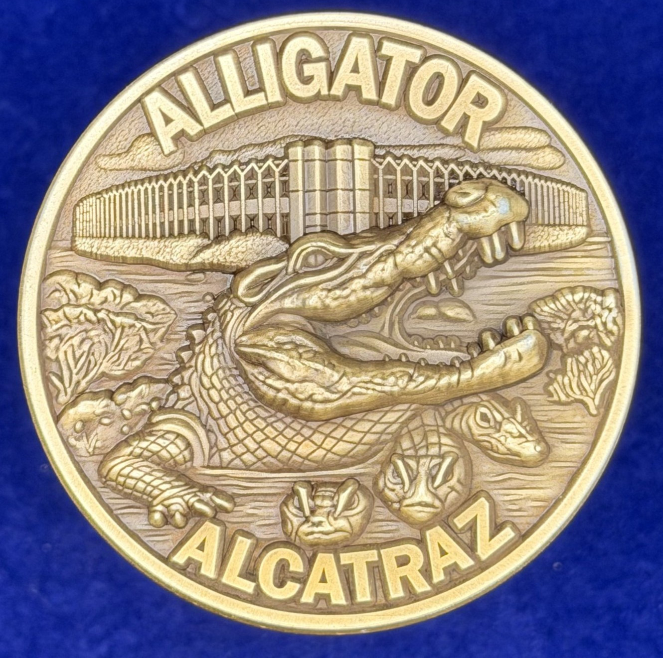 🔥 Sought After Florida Police (FLDE) Alligator Alcatraz Challenge Coin