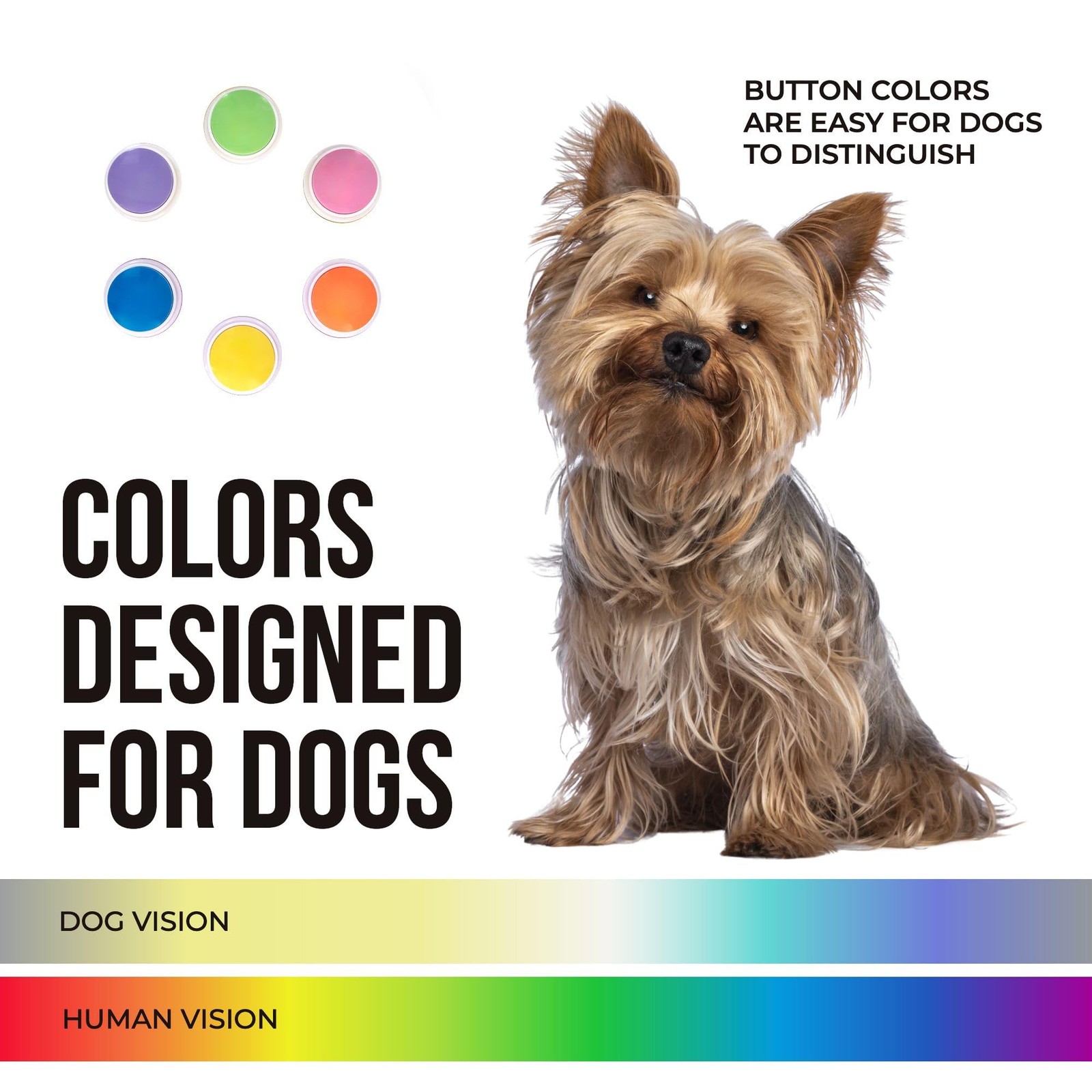 Talking Buttons for Dogs - Dog Training Push -Talk Multi-Colors