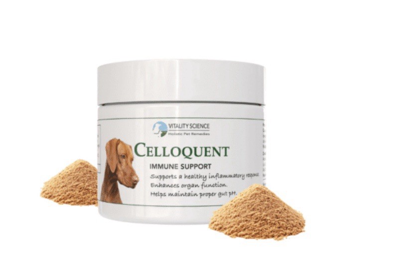 Vitality Science Celloquent for Dogs 4.2oz (120g)