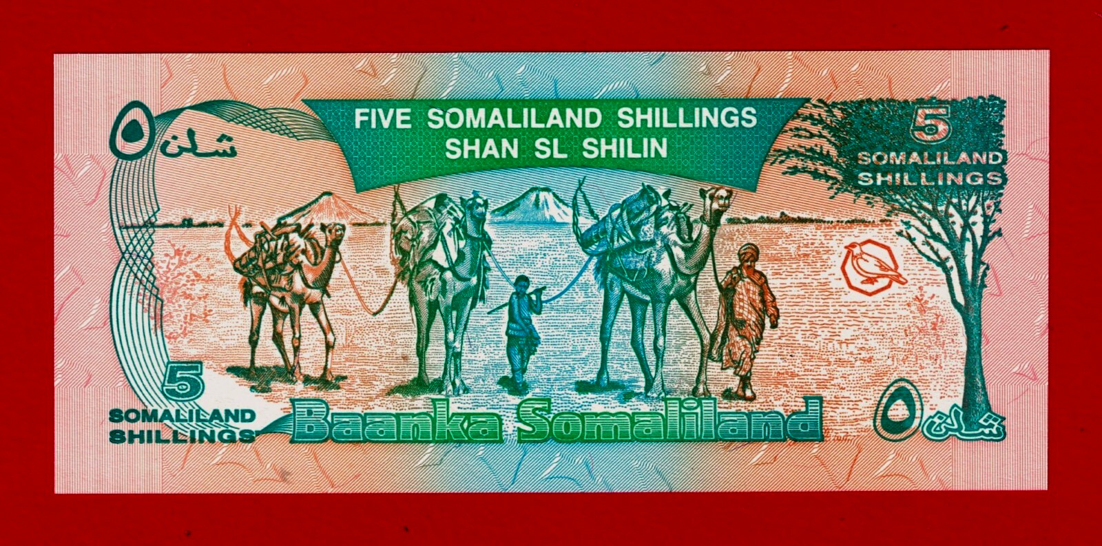 5 Shillings 1994 SOMALILAND UNC Note - Sign: B.H. Omer & A.M. Gullet - (Pick-1a)