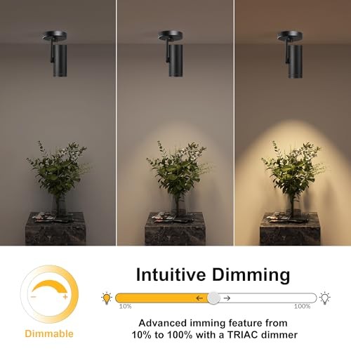 12W LED Dimmable Zoomable Ceiling Spotlight Indoor – Adjustable Beam Black