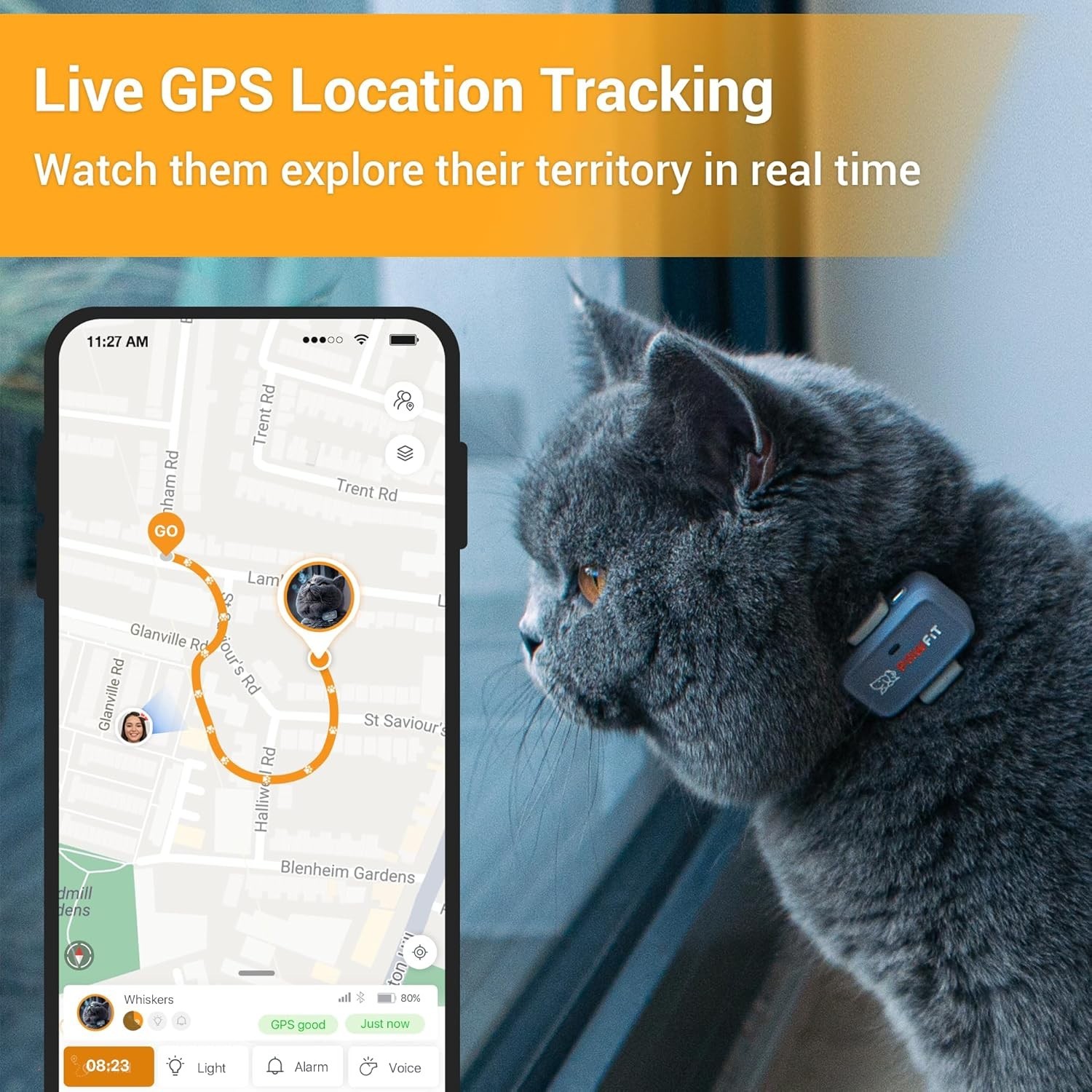 Lite for Cats 4g GPS Tracker | Ultra-Small 18g Design | Real-Time Tracking |...