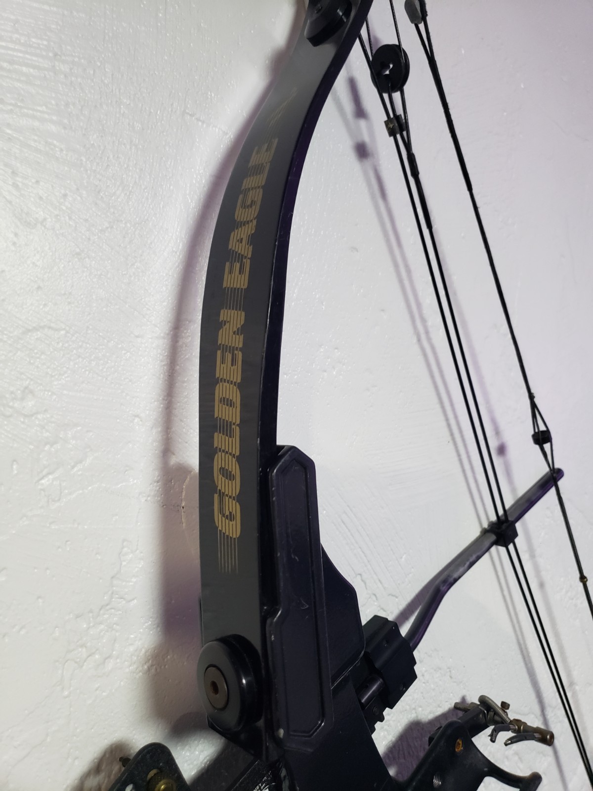 Golden Eagle Compound Archery Bow