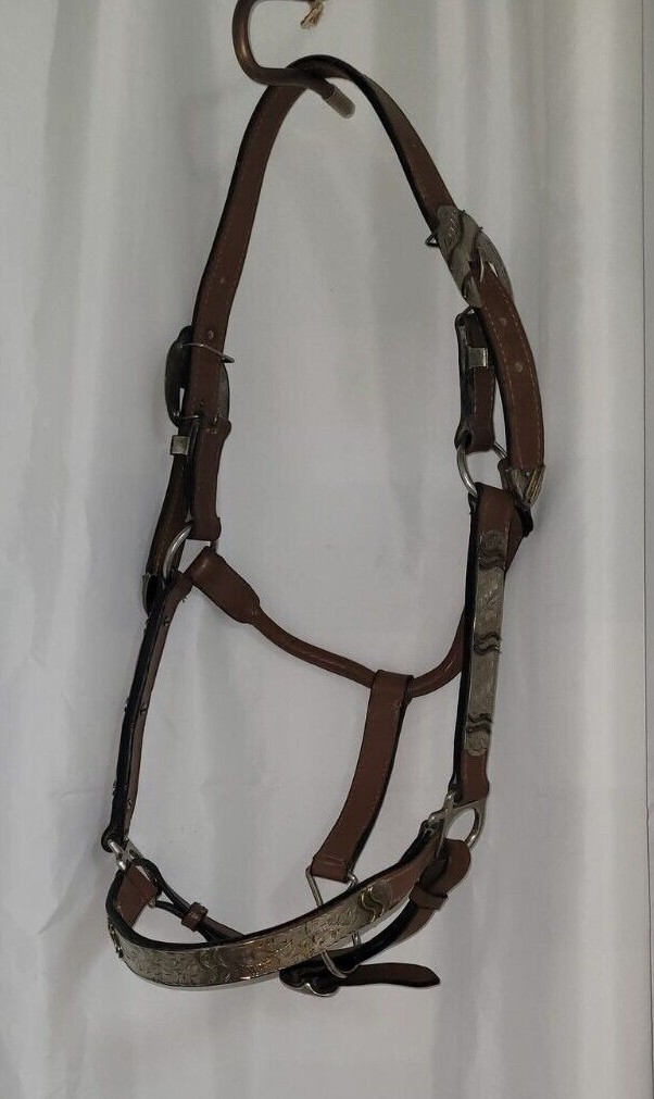 Showmanship Halter - silver embellishments